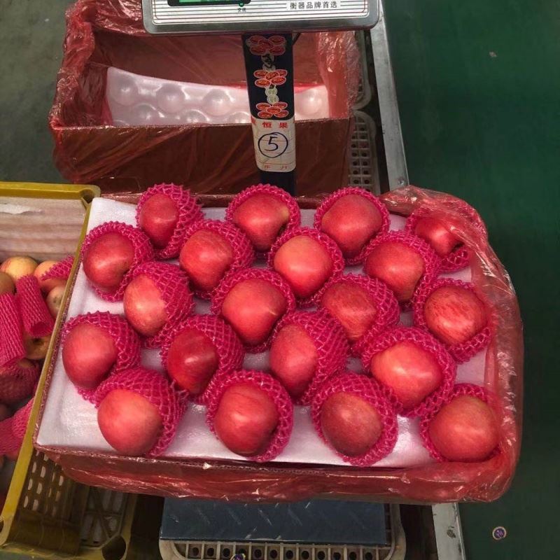 Natural Red FUJI Apples