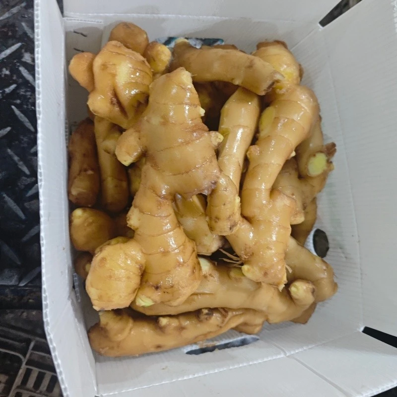 Pvc Box Dry Ginger suppliers