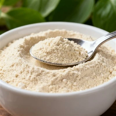 10kgs serbuk bawang putih