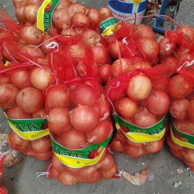 bawang kuning segar