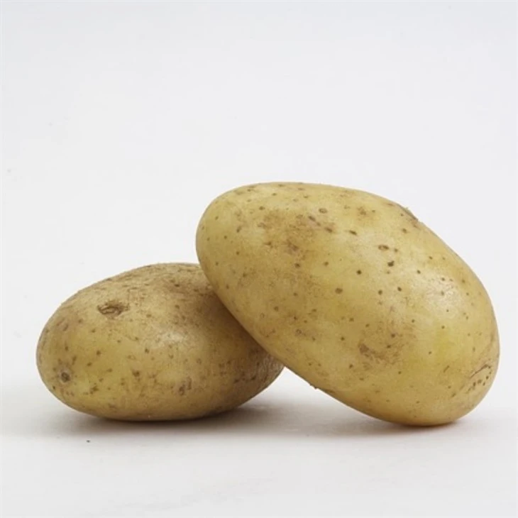 Yulin Fresh Potato